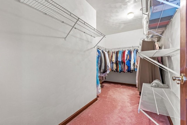 spacious closet with carpet flooring