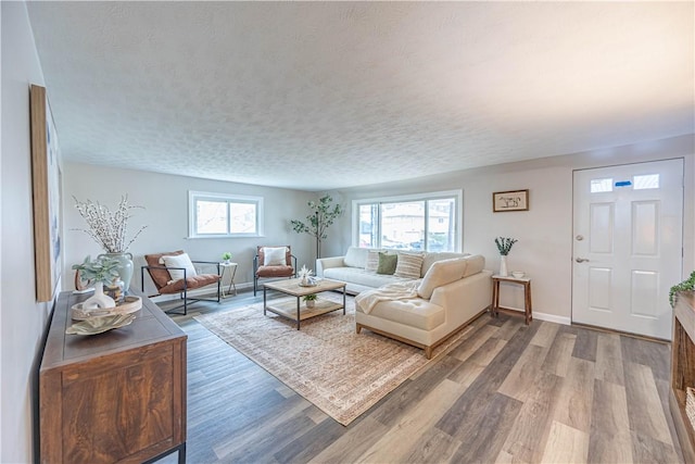 living room with a textured ceiling and hardwood / wood-style flooring