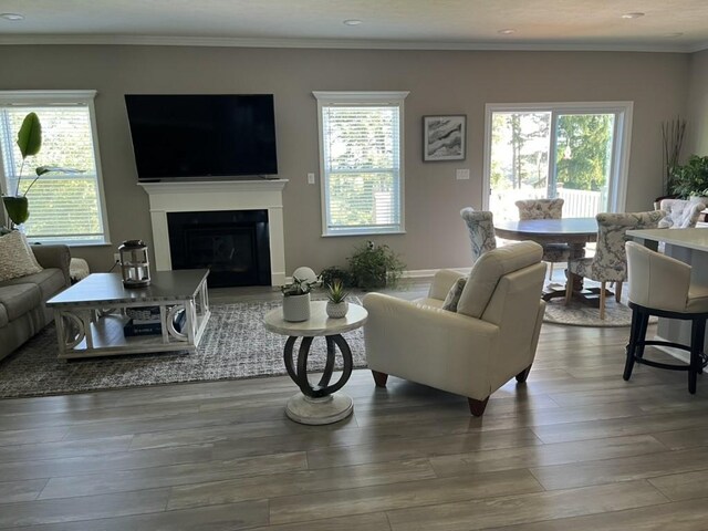 living room featuring hardwood / wood-style flooring, a wealth of natural light, and ornamental molding