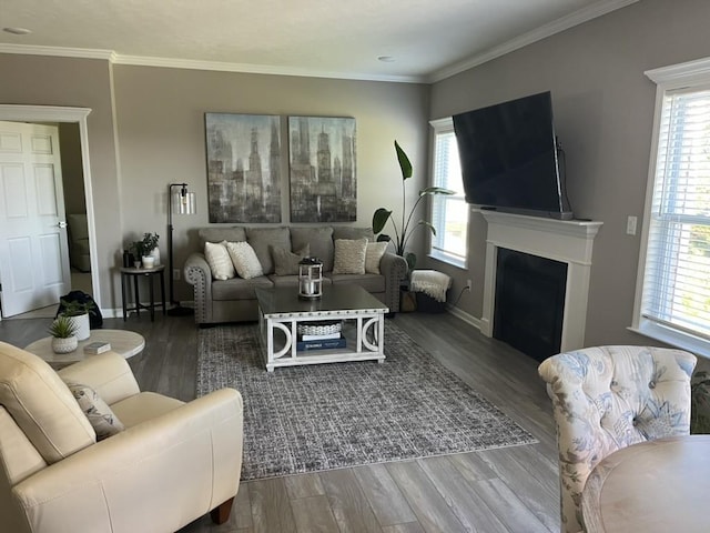 living room with hardwood / wood-style floors and crown molding