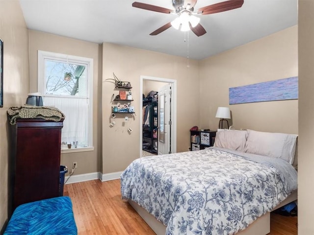 bedroom with ceiling fan, a closet, a walk in closet, and light hardwood / wood-style flooring