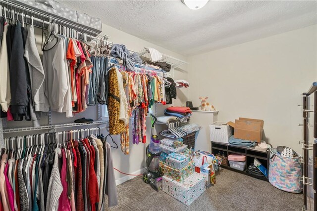 spacious closet with carpet flooring