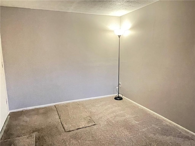 clothes washing area with carpet and a textured ceiling