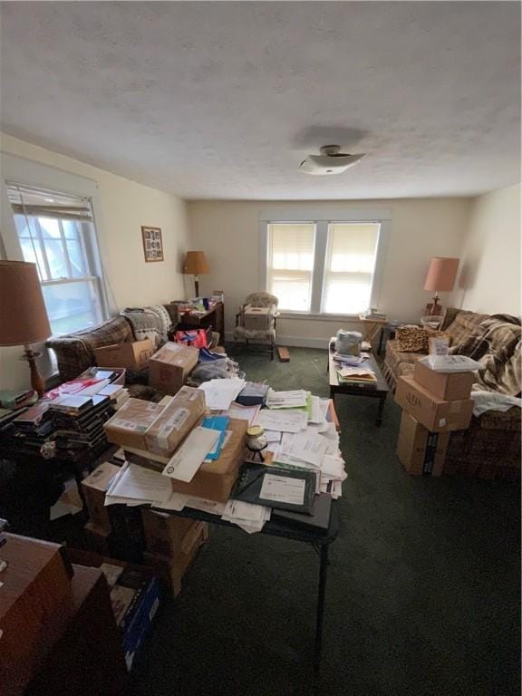 dining room with carpet flooring