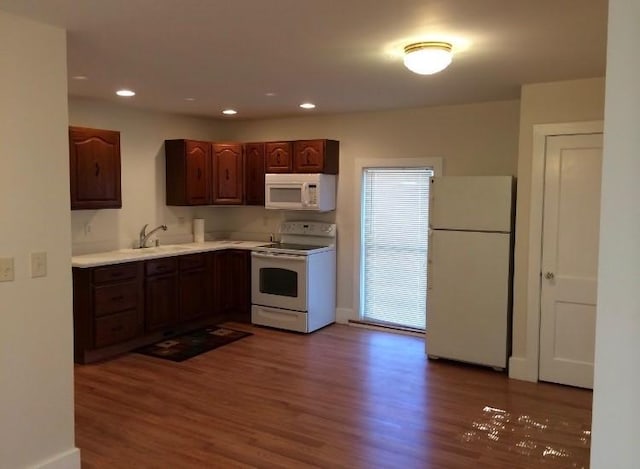 kitchen with hardwood / wood-style flooring, dark brown cabinetry, white appliances, and sink