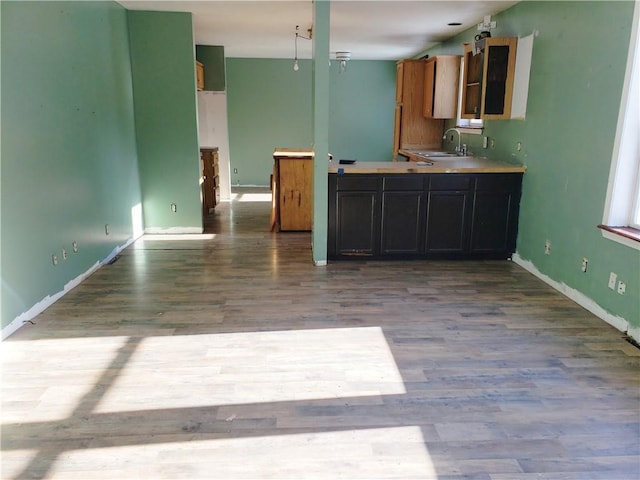 kitchen with sink and light hardwood / wood-style floors