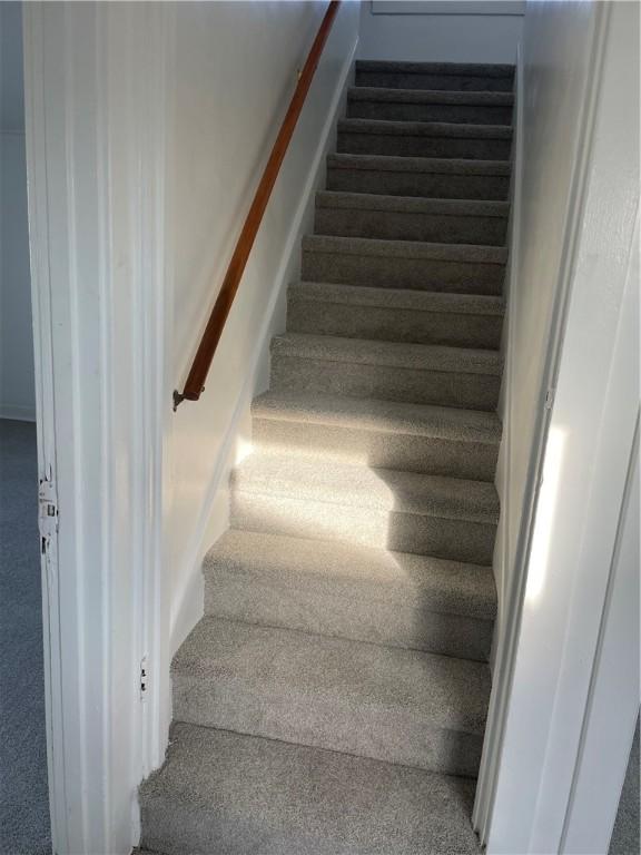 stairway with carpet flooring