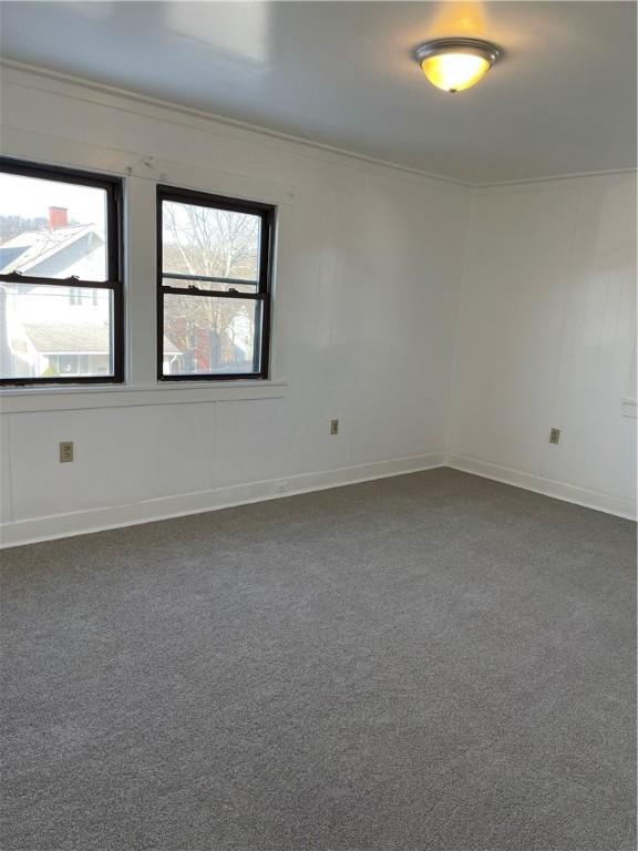 carpeted spare room with crown molding