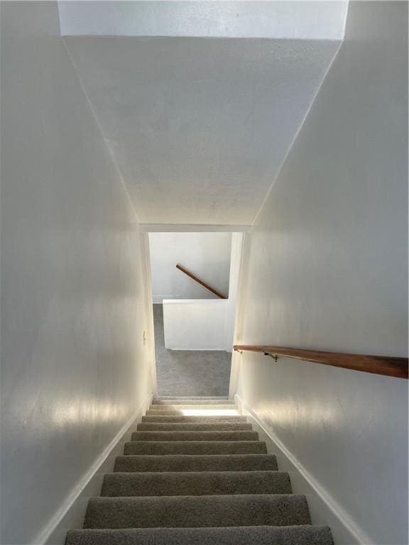 stairway with carpet flooring