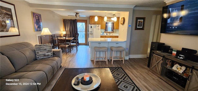 living room with crown molding, hardwood / wood-style floors, ceiling fan, and sink