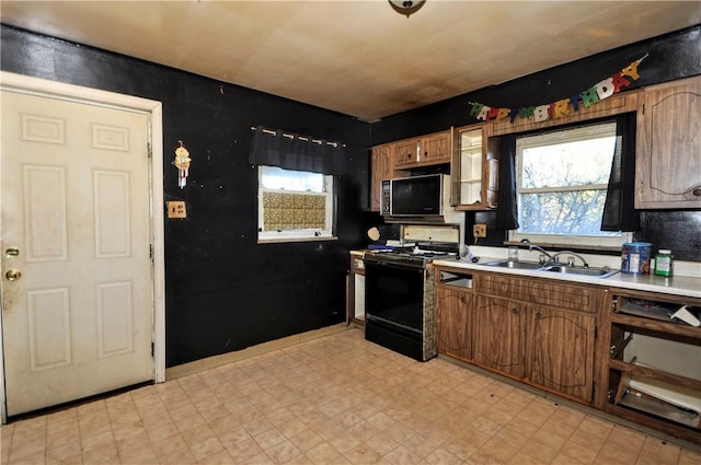 kitchen with black range and sink