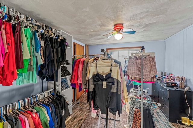 walk in closet featuring carpet flooring and ceiling fan