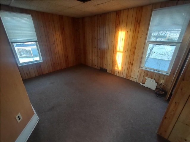 empty room with dark colored carpet and wooden walls