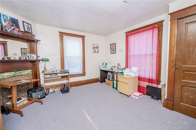 miscellaneous room with carpet floors