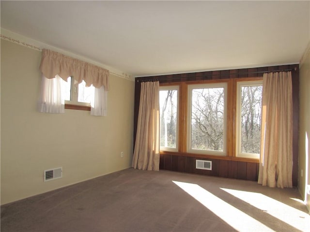 carpeted spare room with a wealth of natural light