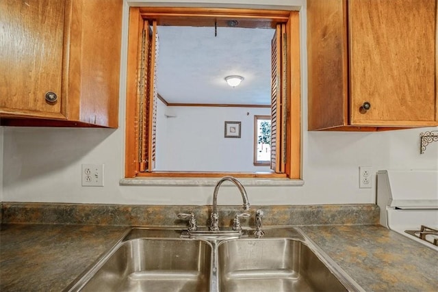 kitchen with crown molding and sink