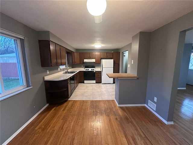 kitchen featuring dark brown cabinetry, sink, light hardwood / wood-style floors, and white appliances