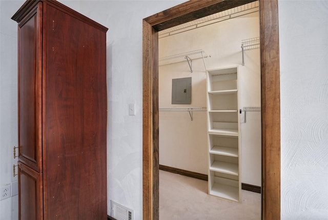 closet with electric panel