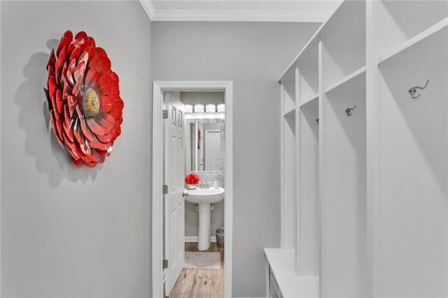 mudroom with light hardwood / wood-style flooring, ornamental molding, and sink