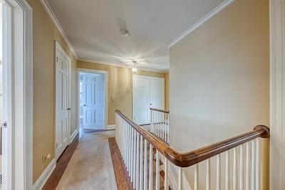 hallway featuring wood-type flooring and ornamental molding