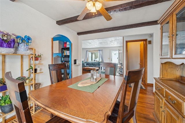 dining space featuring ceiling fan, beamed ceiling, and dark hardwood / wood-style floors