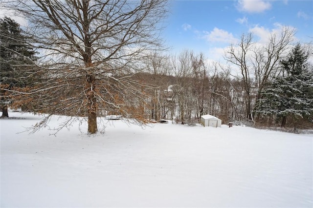 yard covered in snow featuring a shed