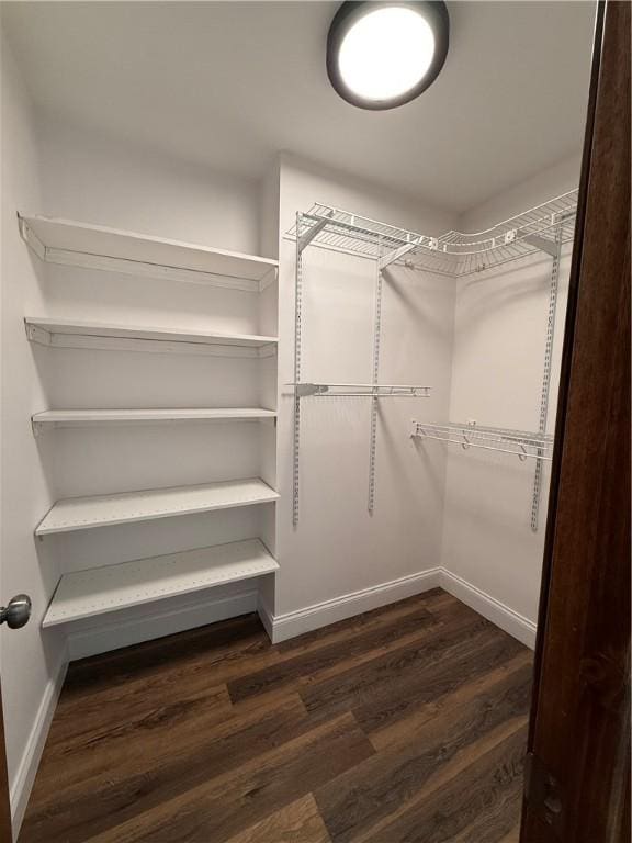 spacious closet with dark hardwood / wood-style floors