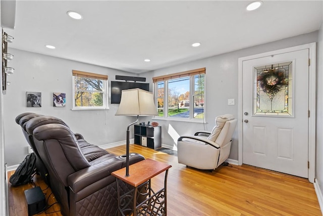 sitting room featuring plenty of natural light and light wood-type flooring