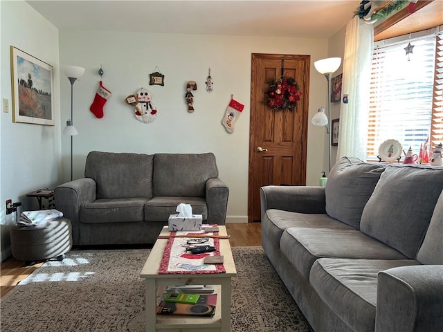 living room with hardwood / wood-style flooring