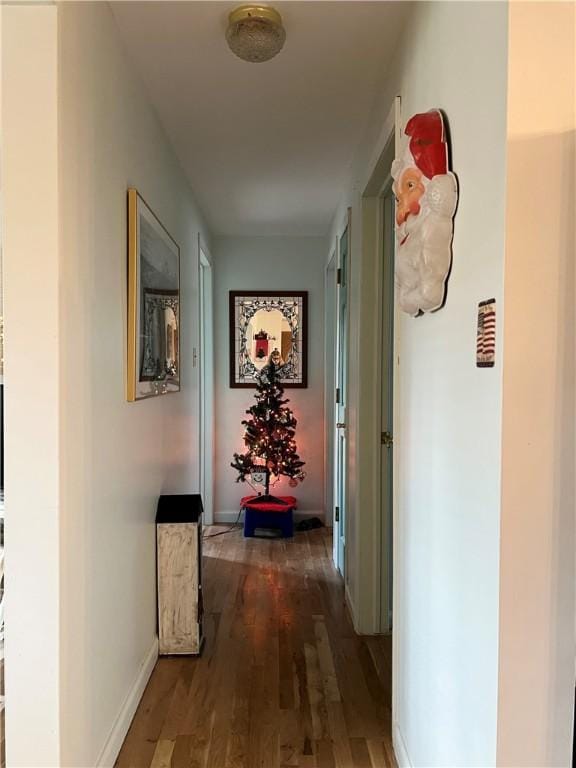 hallway featuring dark wood-type flooring