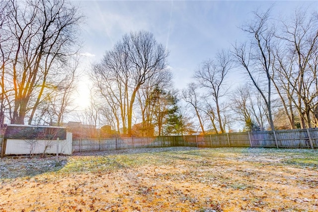 view of yard featuring a shed