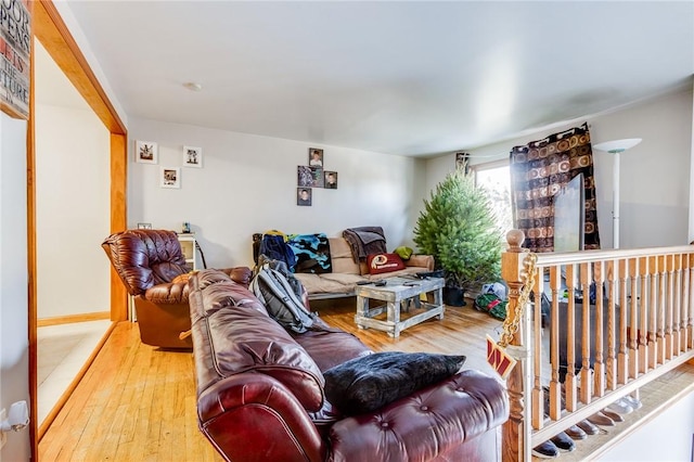 living room featuring wood-type flooring