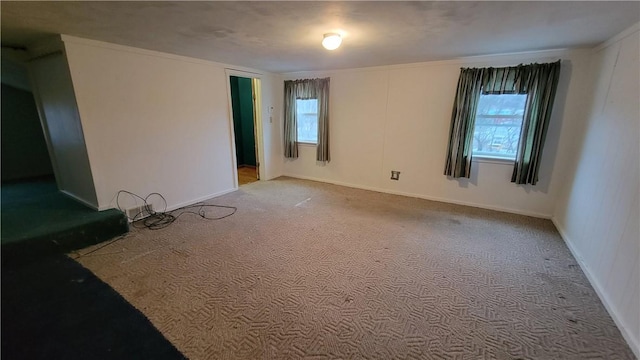 unfurnished room featuring ornamental molding, light carpet, and a wealth of natural light