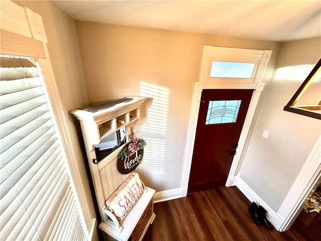 entryway featuring dark hardwood / wood-style flooring