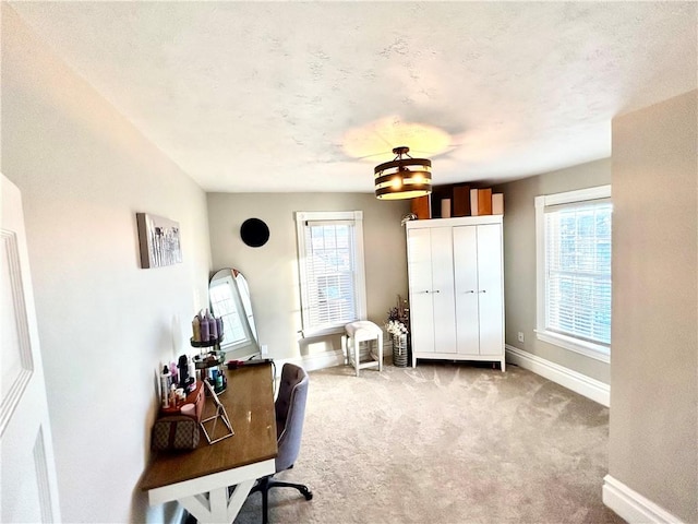 office area featuring carpet flooring