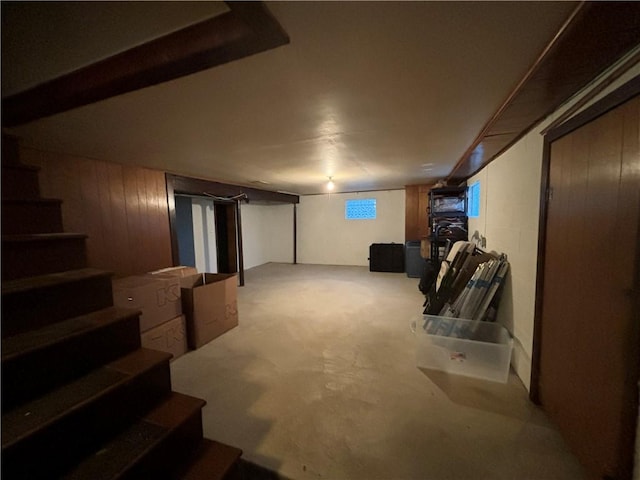 basement with wood walls