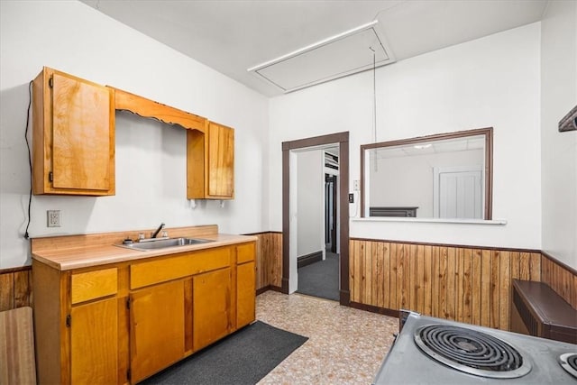 kitchen with radiator, wooden walls, and sink