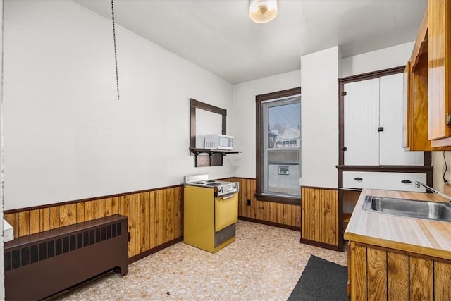 kitchen with sink, radiator, and wood walls