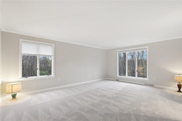 carpeted spare room featuring ornamental molding and a healthy amount of sunlight