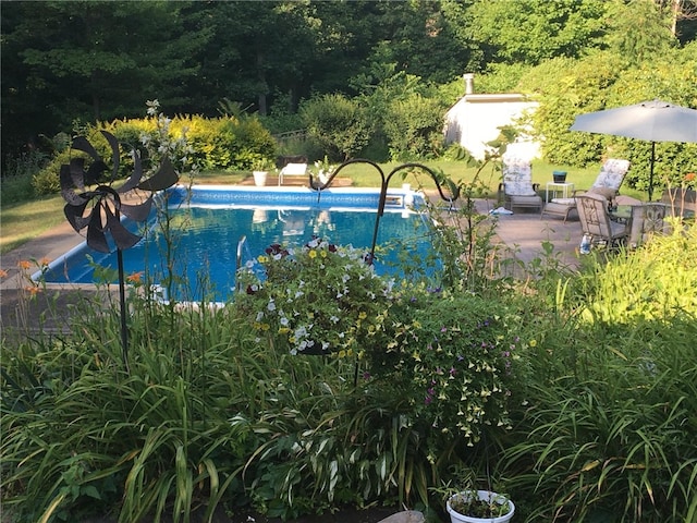 pool with a patio