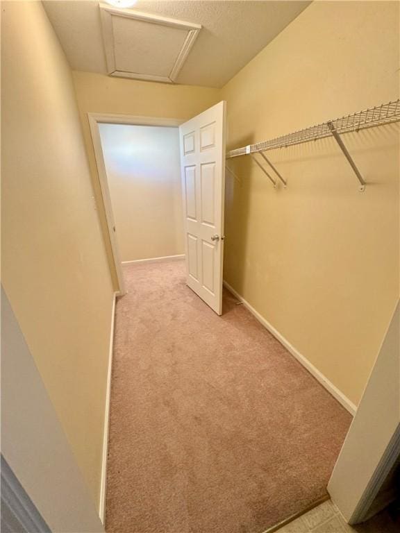 walk in closet featuring light colored carpet