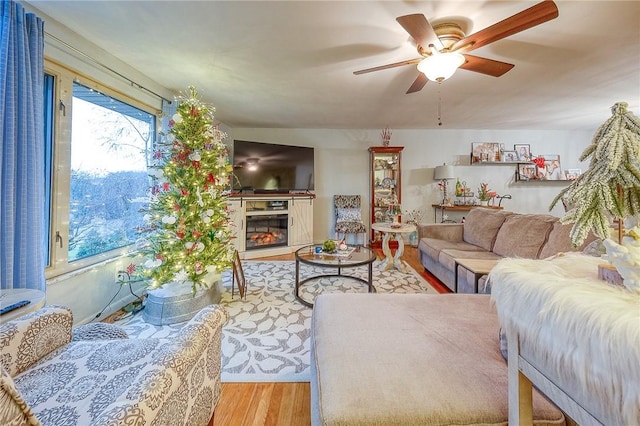 living room with hardwood / wood-style floors and ceiling fan