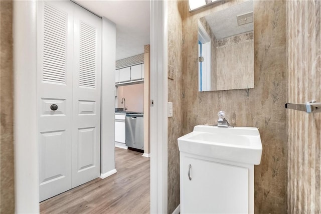 bathroom featuring hardwood / wood-style floors and vanity