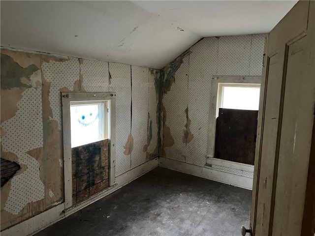 miscellaneous room featuring vaulted ceiling