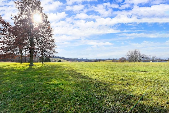 view of yard featuring a rural view