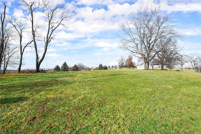 view of yard with a rural view