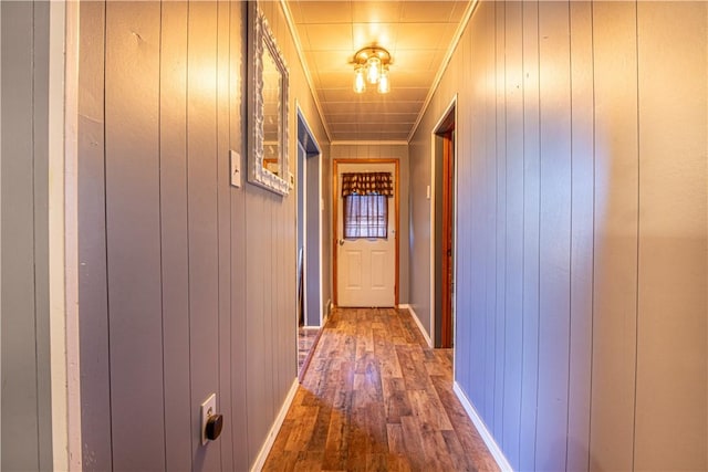 hallway featuring hardwood / wood-style floors and wood walls