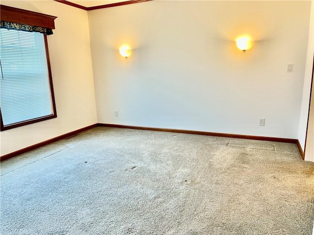 spare room with carpet floors and ornamental molding