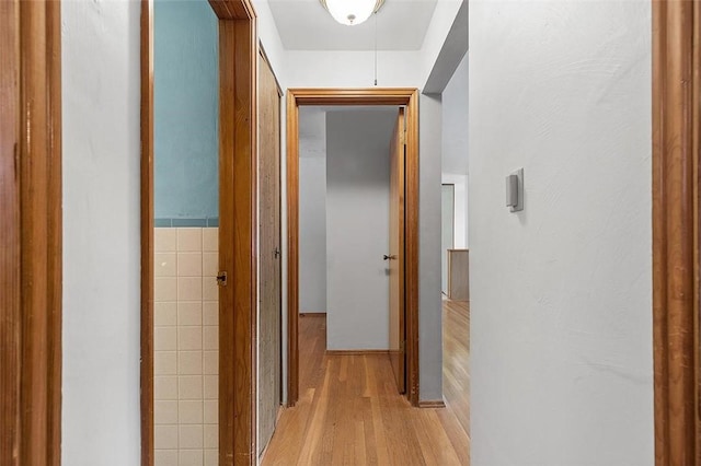 hall featuring light wood-type flooring and tile walls