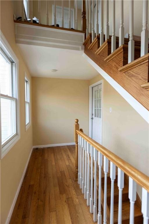 staircase featuring wood-type flooring